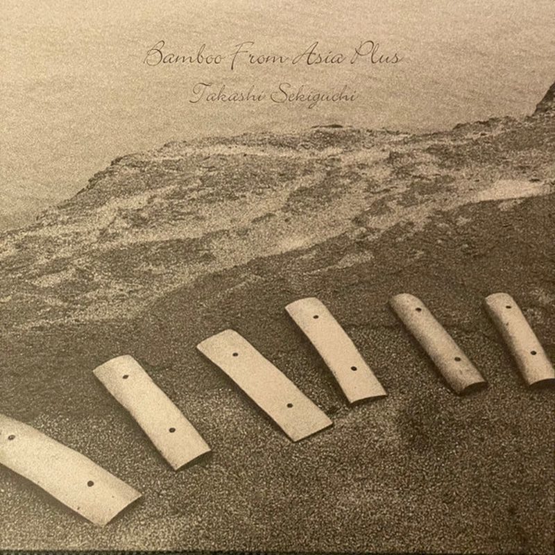 Cover of Bamboo From Asia Plus by Takashi Sekiguchi