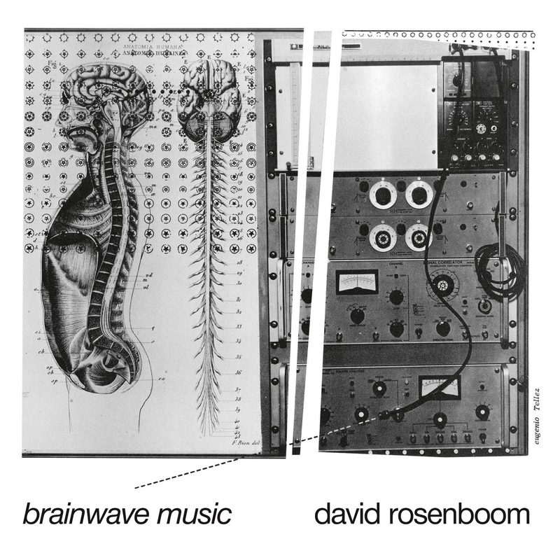 Cover of Brainwave Music by David Rosenboom