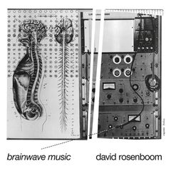 Cover of Brainwave Music by David Rosenboom