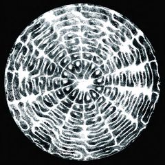 A circular cymatic pattern formed by sound vibration in a Chladni-style plate experiment