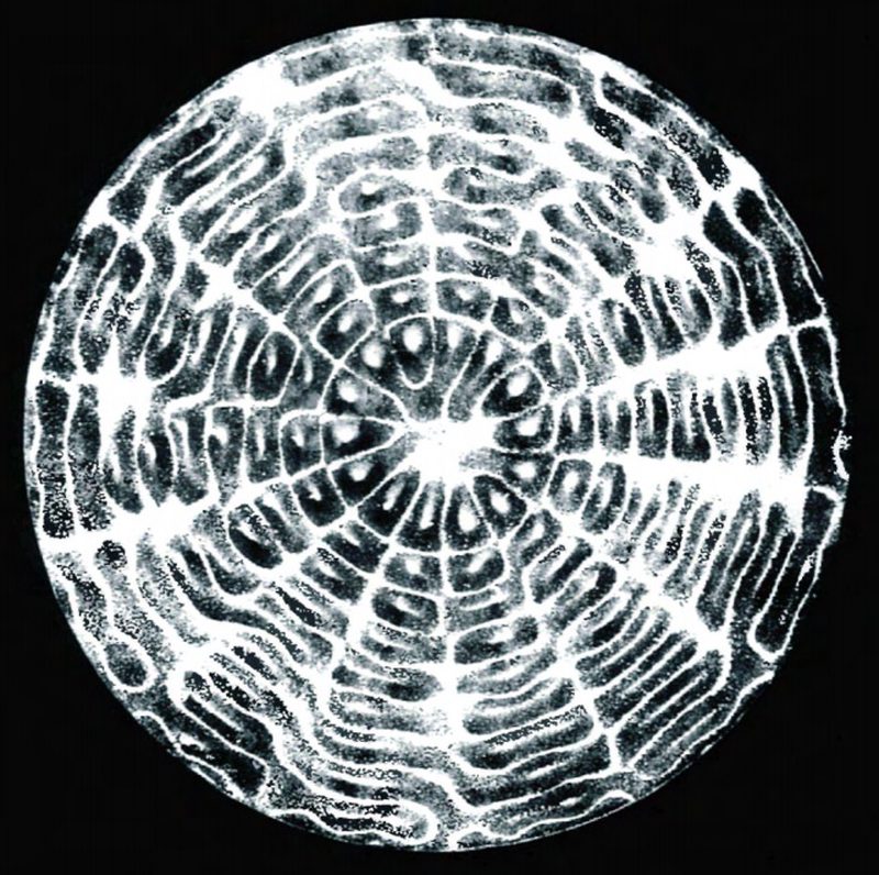 A circular cymatic pattern formed by sound vibration in a Chladni-style plate experiment