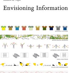 Cover of Envisioning Information