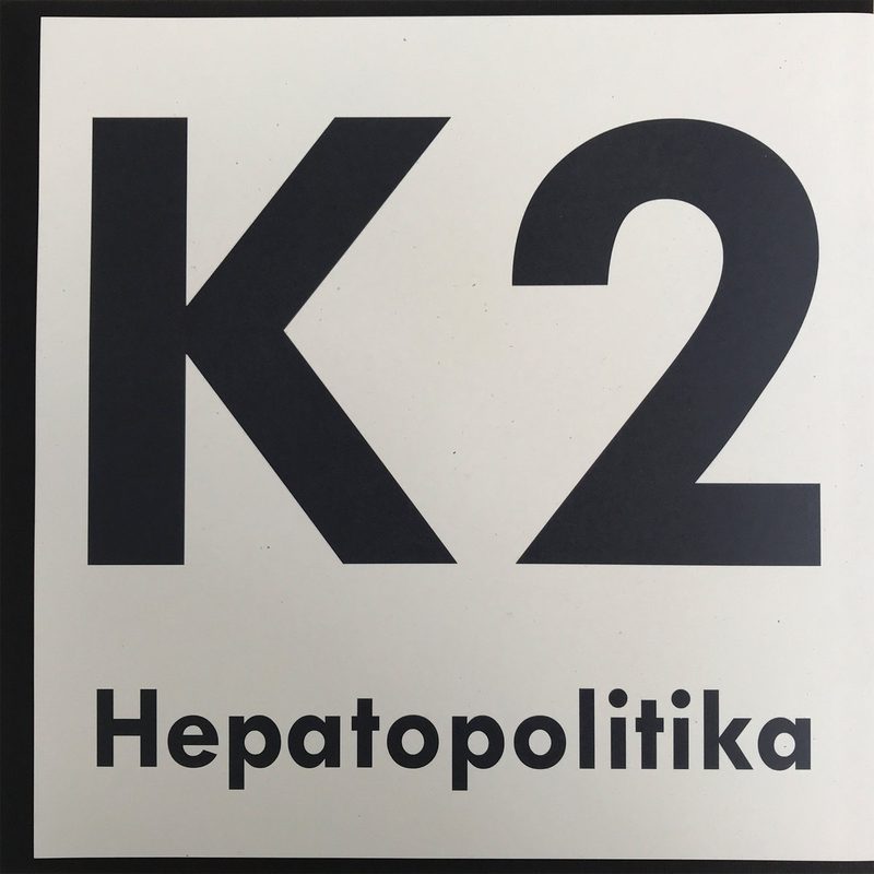Cover of Hepatopolitika by K2