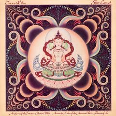 Cover of Shri Camel by Terry Riley