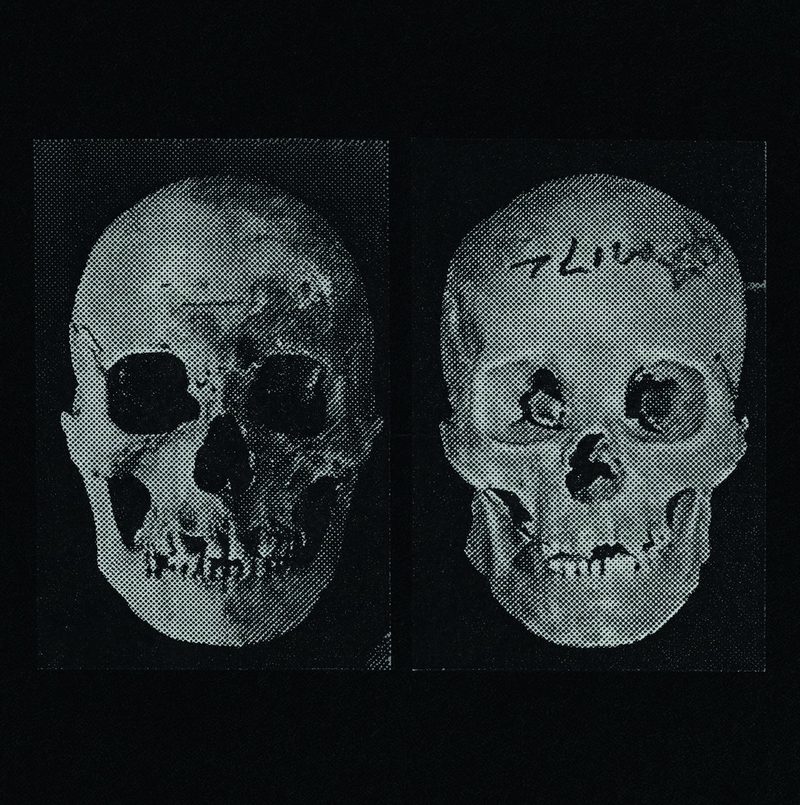 Cover of The Human Race Was Restored to Life Repeatedly by Government Alpha