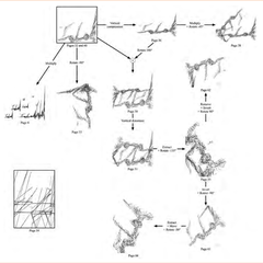 Diagram tracing graphic transformations applied across pages of the Voyage absolu des Unari vers Andromède score