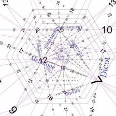 Pitch lattice on the 2.3.5 subgroup