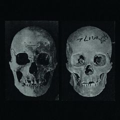 Cover of The Human Race Was Restored to Life Repeatedly by Government Alpha